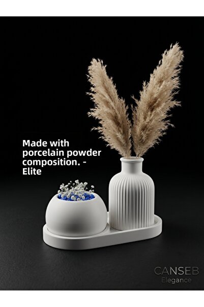 CANSEB Elegance Triple Decorative Succulent Flower Pot & Striped Pampas Vase Set