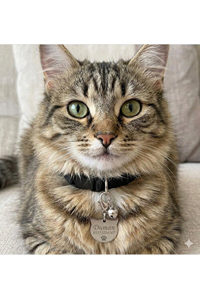 hebmeyy Kedi Isimlik Ve Tasma Seti, Kişiye Özel Isimlik, Açıklamayı Okuyunuz