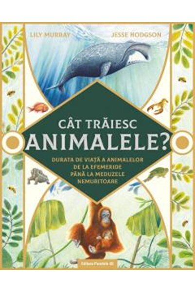 Paralela 45 De cât timp trăiesc animalele? Durate de viață ale animalelor, de...