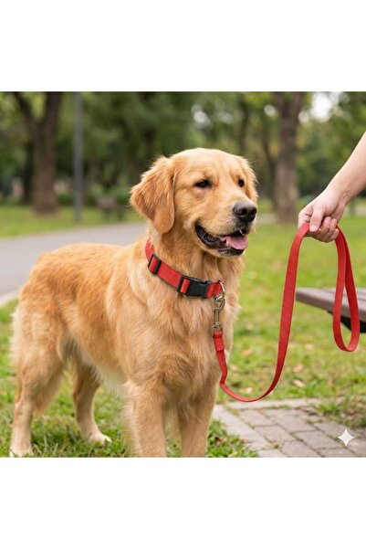 hebmeyy Köpek Tasma Gezdirme, Köpek Gezdirme Takımı, Mini Ve Orta Irk, Yavru ...
