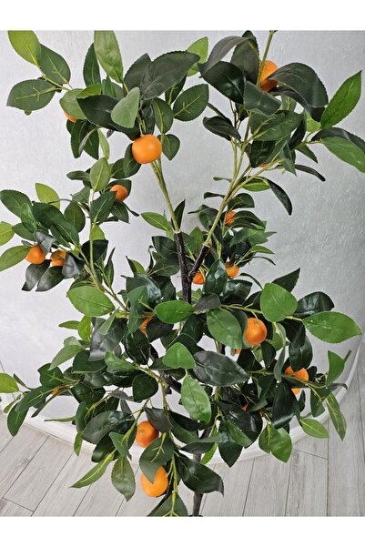 OEM Portocal 170cm
