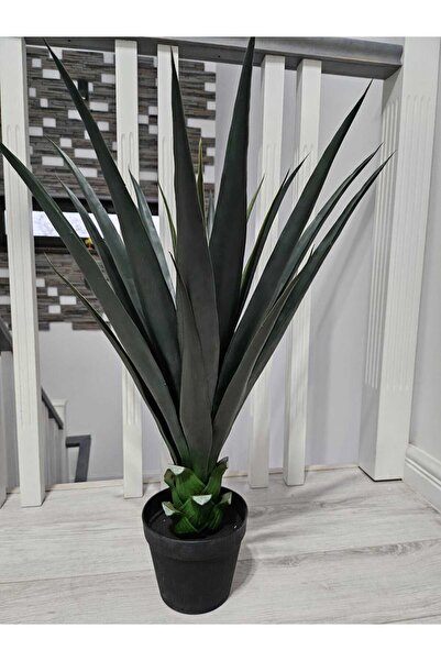 OEM Copac Tropical 70cm