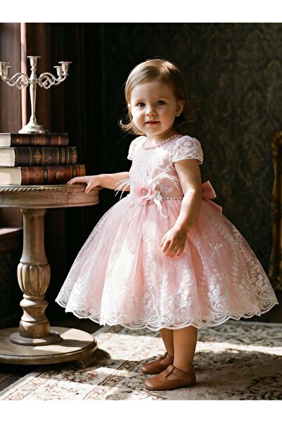 Greneric Pink Baby Girl Princess Dress with Lace Sleeves & Embroidered Skirt ...