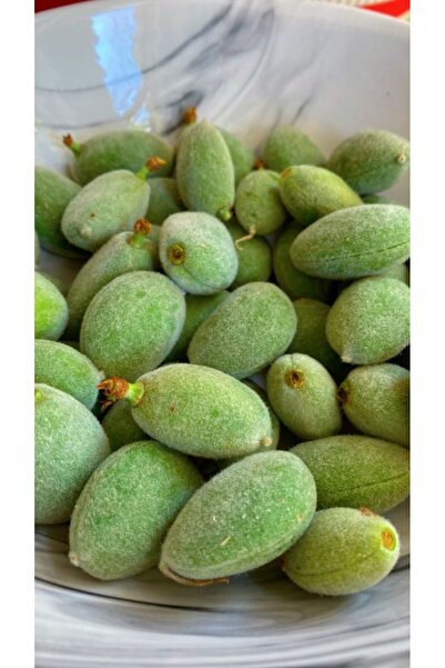 dalından tazecik Çağla Meyvesi ( 250 Gr)