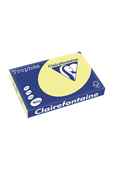 Clairefontaine Carton A3 160 g/m² culoare palida 250 coli/bloc narcisă