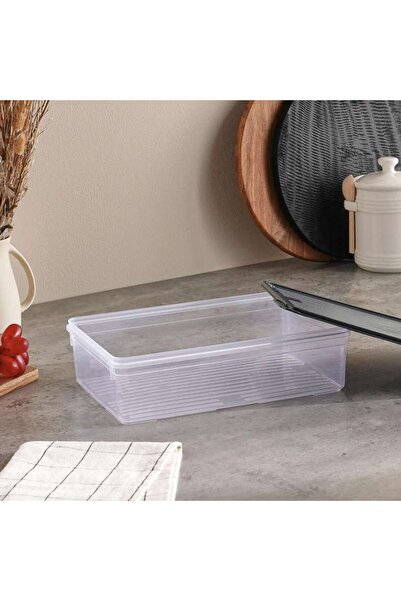 PAN HOME Juan Storage Container 3.25L- Clear & Grey
