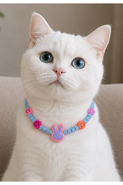 Pawellia.co Stylish Design Cat Collar Cat Necklace Small Breed Dog Collar Dog...