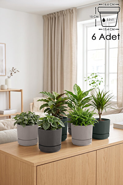 ToXA 6 Adet Pera Kare Saksı No3 2,3 Litre Çok Renkli 16,6cm Plastik Kendinden...