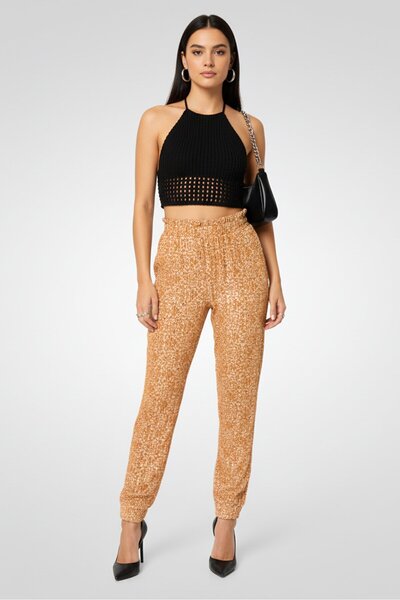 PİNKO Women Embellished Straight Leg Pants, Brown