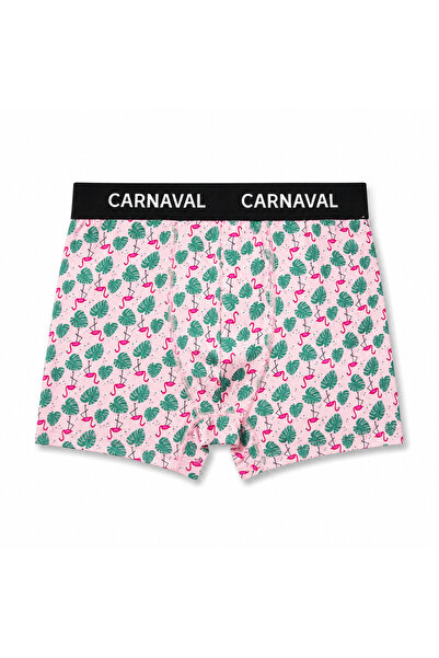CARNAVAL SOCKS CARNAVAL Bumbac premium cu model flamingo pentru bărbați boxer...