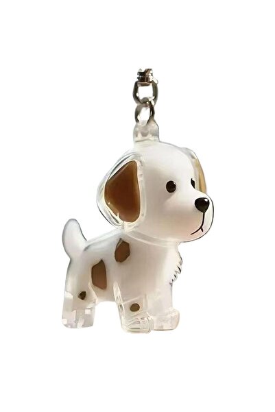 Choice8 T Clear Pet Hair Keychain Cute Dog Fur Keepsake Holder Creative Trans...
