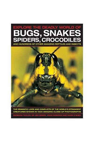 Anness Publishing Insecte, șerpi, păianjeni, crocodili