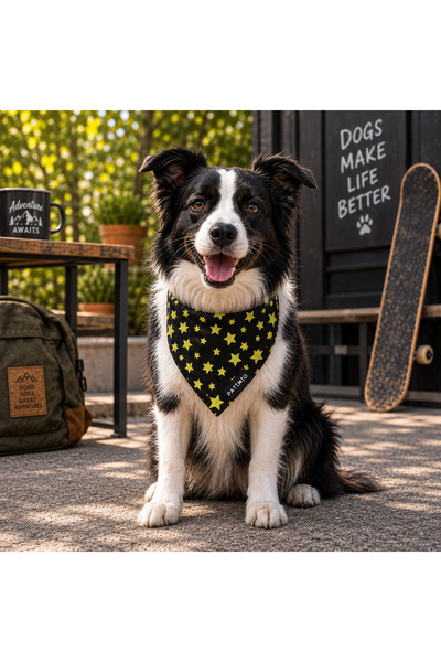 PATİMİO Gold Stars Kedi Ve Köpek Tasma Fular Bandana