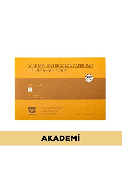 BAOHONG Watercolor Academy Block Notebook (Rough) 31X21Cm, 100% Cotton, 300Gr...