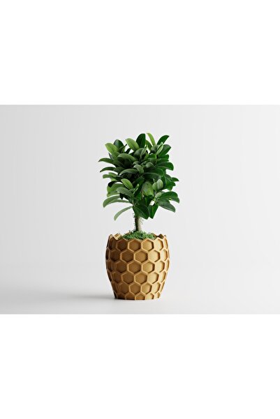 Tasarım Beehavia Dekoratif Saksı - 12 cm