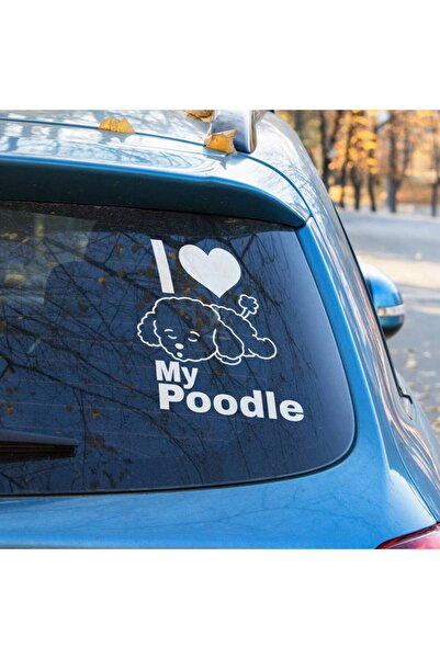 OEM Sticker auto (30cm) - Poodle