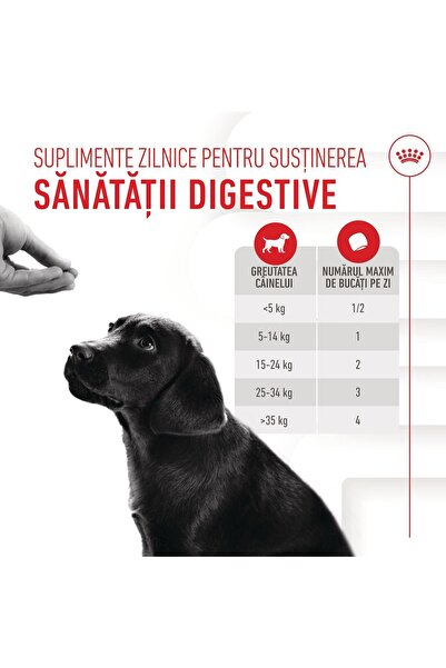 Royal Canin Supliment mestecabil pentru imunitate și digestie la căței, 100g