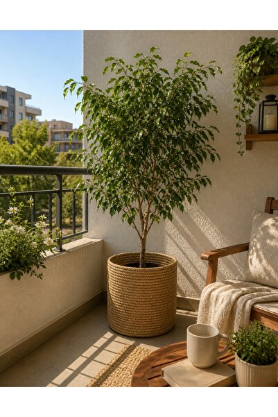 Ckdesign Doğal Hasır Saksı Sepeti Bohem Balkon Salon Dekoru 25×25