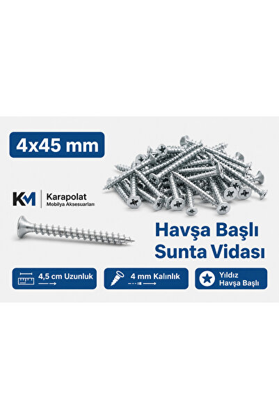 KARAPOLAT 4x45 Sunta Vidası Havşa Başlı Yıldız Vida 25 Adet