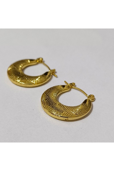 Zennemor Stainless Steel Antiallergic Gold Color Earrings, Suitable for Daily Use and Combinations