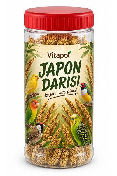ABABEY VİTAPOL JAPON DARISI