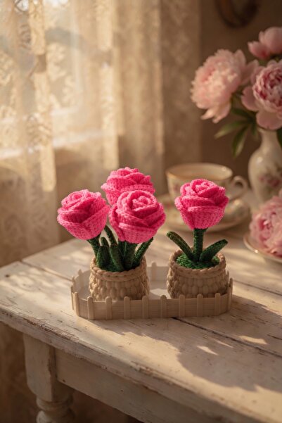 MYCRAFT3D Örgü Dokulu Gül Saksı ve Çit Standlı Set – Pembe Çiçekli Dekoratif ...