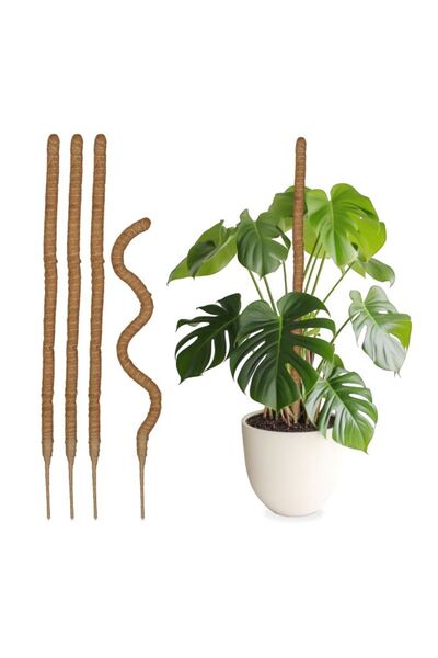 Relaxdays Set de 5 bețe de cocos pentru plante, 90 cm