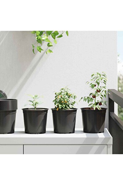vidaxl Vaza pentru flori 100 pcs Negru Ã˜ 15 x 13 cm Plastic