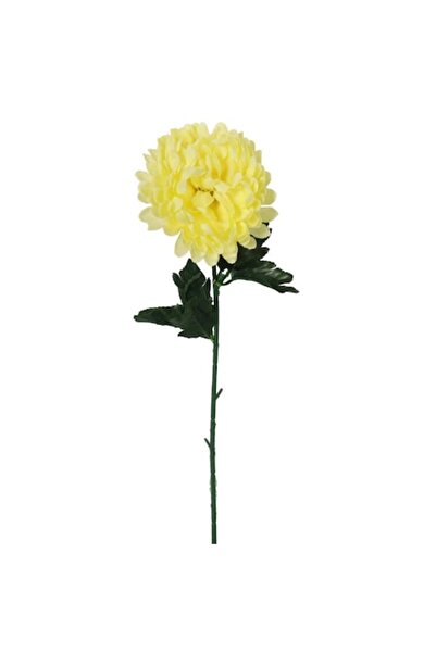 Goliat Crizantemă artificială Goliat, 50 cm, crem