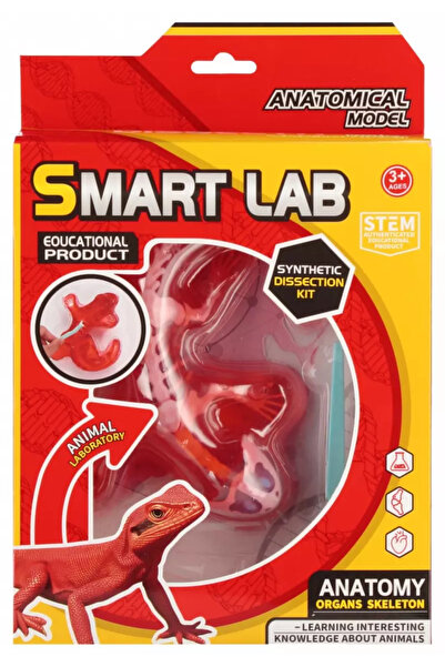 MEGA Kertenkele Laboratuvar Seti