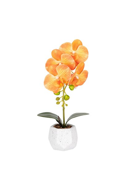 Naimeed Company Orhidee decorativă în ghiveci ceramic, 41 cm, Naimeed D6885, ...