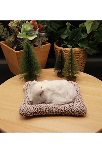 HEDİYEBİZİZ Minderde Uyuyan Sesli Peluş Kedi Cat Küçük Boy 17cmx14cm - Beyaz ...