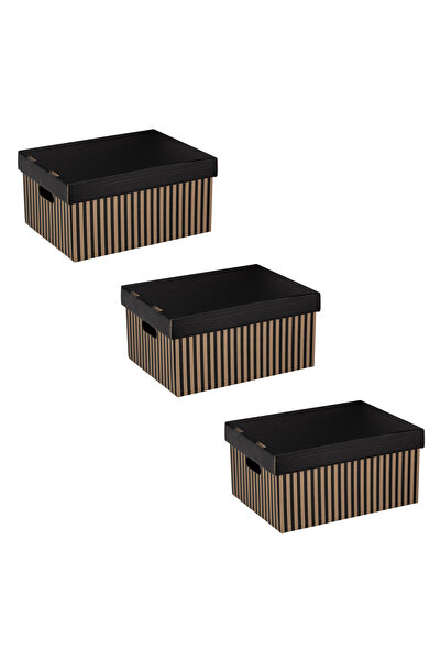 Zumzeria Set of Foldable Cardboard Storage Boxes Beige with Black Stripes 33x...