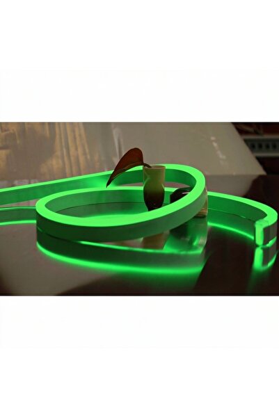 DELIGHT Neon Flex Verde SMD2835 8x16mm