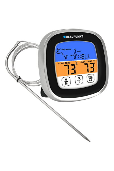 Blaupunkt FTM501