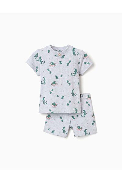 Ziddy Ribbed Cotton Pyjamas With Alligator Motif For Baby Boys Light Grey