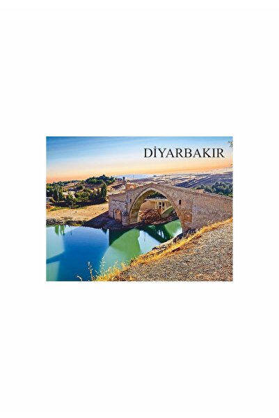 Gokco Buzdolabı Süsü Magnet Diyarbakır