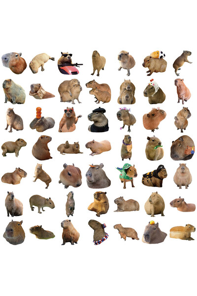 Choice 50PCS 50Pcs Cartoon Capybara Graffiti Stickers - Waterproof Decor for ...
