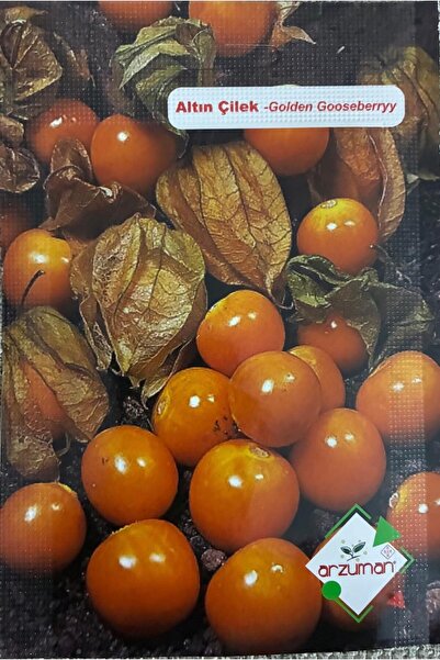 Arzuman Altın Çilek Tohumu 50 Adet
