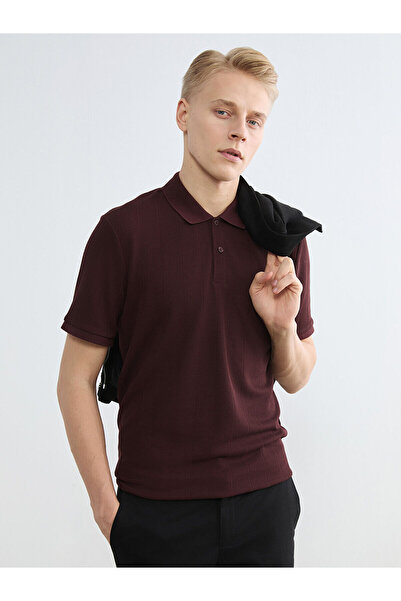 LC Waikiki Nevavm Polo Collar Striped Men's T-Shirt