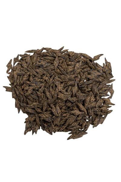 OEMS Tiger Grade a World Class - Kilo