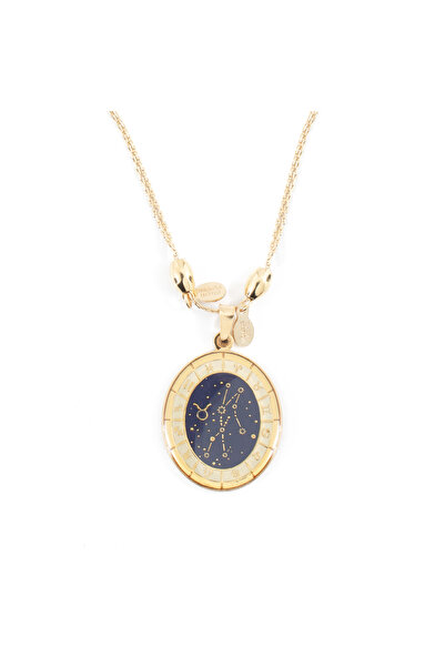 Alex and Ani Bratara Metal A15EN39YG