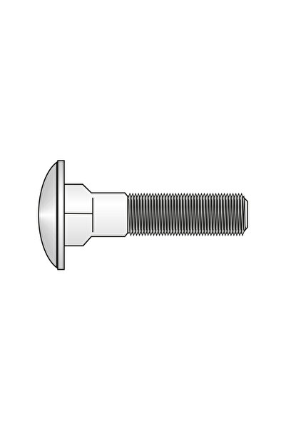 SCHAEFER Set 50 x Surub Torbant Fara Piulita 603 Inox A2-M8 x 20