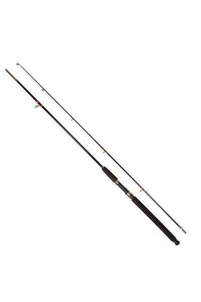 Dayko Lanseta fbra plina lungime-2.70m-100/250g putere