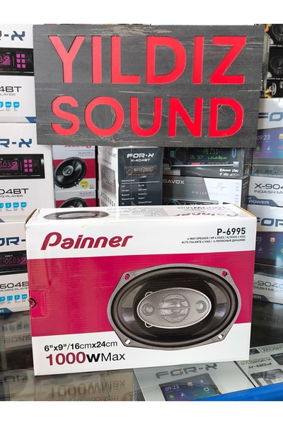 patili tasarım Painneeer Oval Koaksiyel Hoparlor Takim Kapakli 1000w