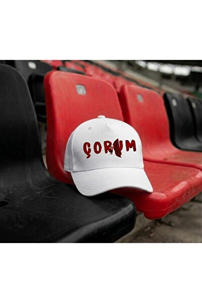 SARI Man Holding the Chorum Flag Printed Hat