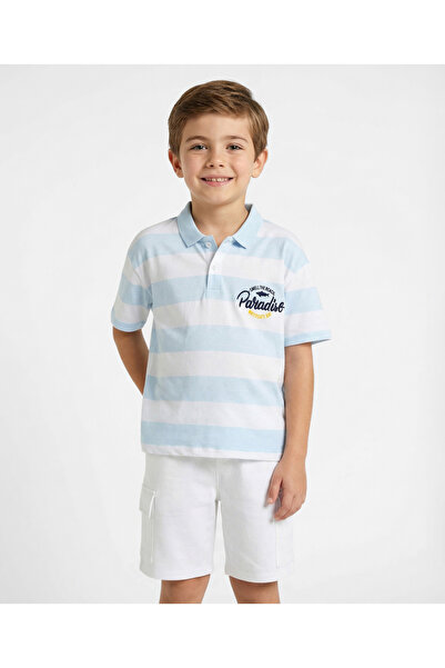 Primo Gino 100% Cotton Knit All Over Stripes Printed Half Sleeves Polo T-Shir...