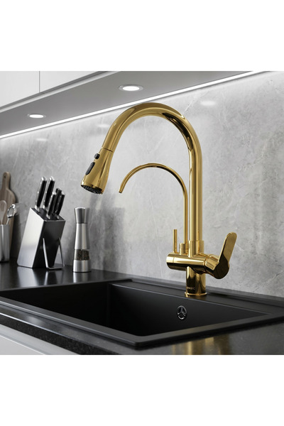 Newarc Gold Spiral Kitchen Sink Faucet with Purified Water Inlet 150589Spg