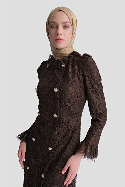 Armine Lace Stylish Dress Brown