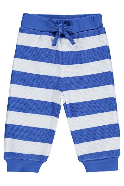 Civil Baby Thick Line Print 3-18 Months Single Bottom Baby - Blue